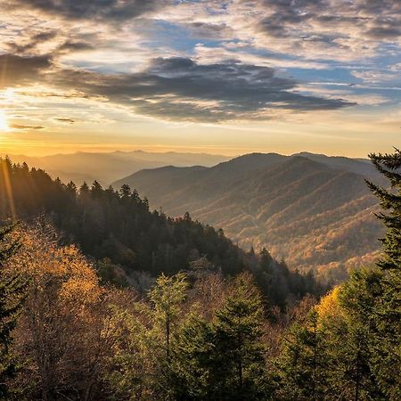 Appartement City Bear, 2Br, Pool, Spa, Downtown Gatlinburg, Sleeps 6 Extérieur photo