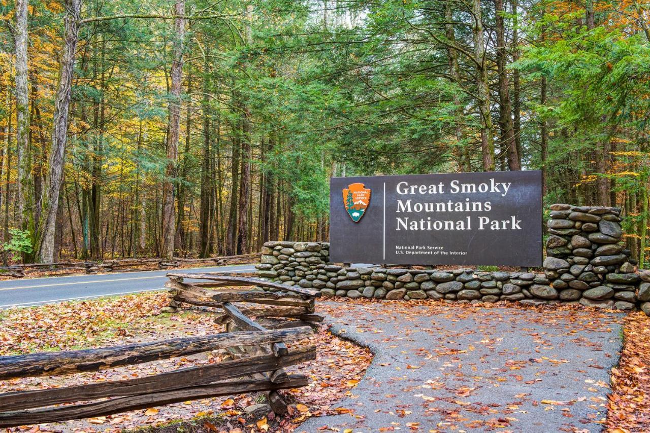 Appartement City Bear, 2Br, Pool, Spa, Downtown Gatlinburg, Sleeps 6 Extérieur photo